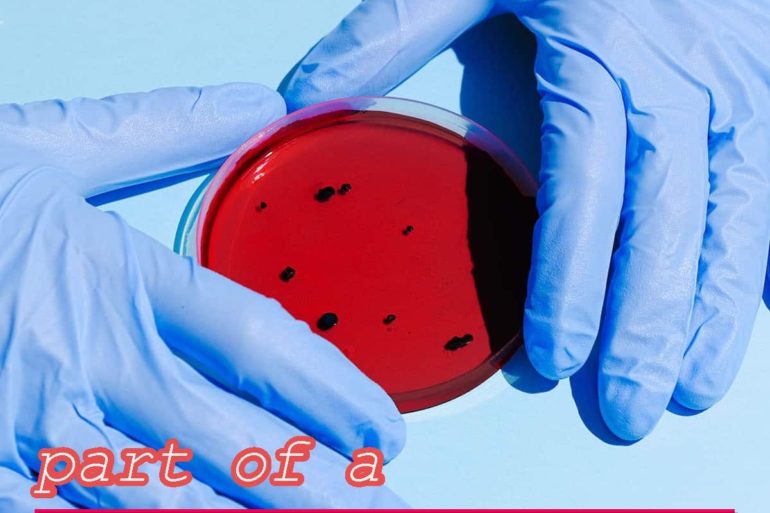 How scammers work on the dark web